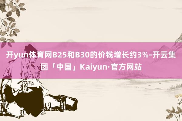 开yun体育网B25和B30的价钱增长约3%-开云集团「中国」Kaiyun·官方网站