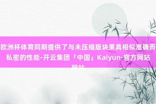 欧洲杯体育同期提供了与未压缩版块果真相似准确而私密的性能-开云集团「中国」Kaiyun·官方网站
