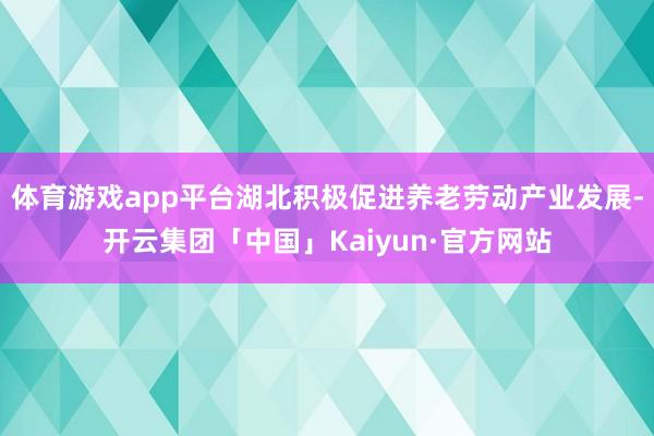 体育游戏app平台湖北积极促进养老劳动产业发展-开云集团「中国」Kaiyun·官方网站