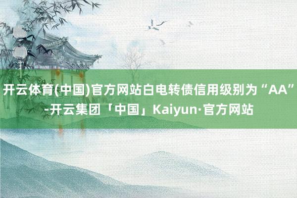 开云体育(中国)官方网站白电转债信用级别为“AA”-开云集团「中国」Kaiyun·官方网站