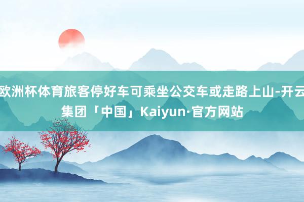 欧洲杯体育旅客停好车可乘坐公交车或走路上山-开云集团「中国」Kaiyun·官方网站