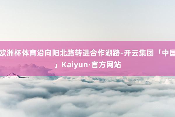 欧洲杯体育沿向阳北路转进合作湖路-开云集团「中国」Kaiyun·官方网站