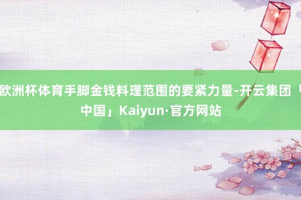 欧洲杯体育手脚金钱料理范围的要紧力量-开云集团「中国」Kaiyun·官方网站