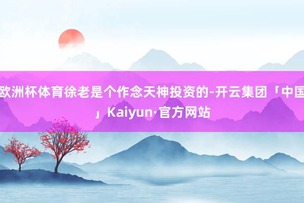 欧洲杯体育徐老是个作念天神投资的-开云集团「中国」Kaiyun·官方网站