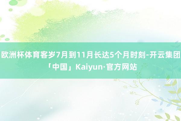 欧洲杯体育客岁7月到11月长达5个月时刻-开云集团「中国」Kaiyun·官方网站